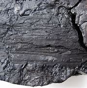Image result for Carboniferous Period Coal