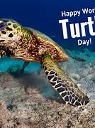 Image result for Turtle Day