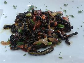 Image result for images caterpillars to eat in congo