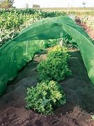 Image result for Plant Shade cloth