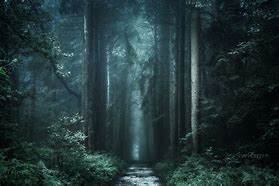 Image result for Dark Path