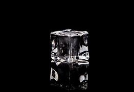 Image result for Ice Cube Siblings