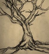 Image result for Tree Drawing