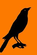 Image result for Crow Chief