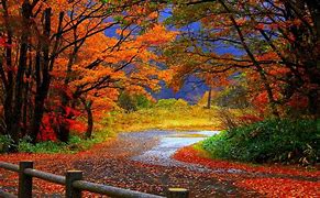 Image result for Autumn Background Wallpaper