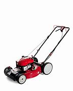 Image result for USA Home Depot Lawn Mowers