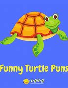 Image result for Turtle Puns