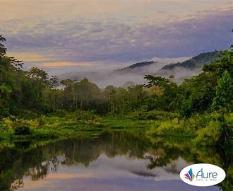 Image result for parque nacional de Manu péru photos