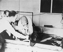 Image result for Nazi Human Experimentation