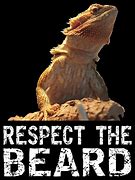 Image result for Funny Bearded Dragon Lizard