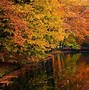 Image result for Autumn Leaves Desktop Wallpaper