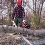 Image result for Proper Way to Cut a Leaning Tree