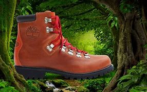 Image result for Veja Hiking Boots