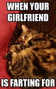 Image result for Funny Farting Cat Jokes