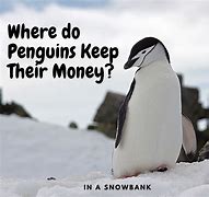 Image result for Penguin Humor