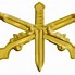 Image result for SS Troops