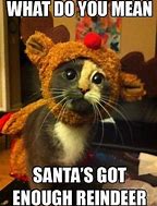 Image result for Christmas Memes Clean