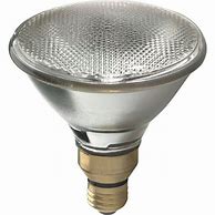 Image result for LED Flood Light Bulbs