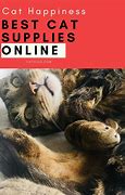 Image result for Cat Things to Buy