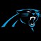 Image result for Carolina Panthers 1
