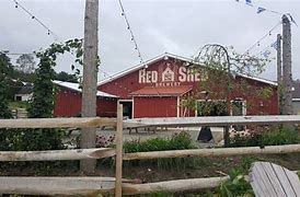 Image result for RED SHED COOPERSTOWN