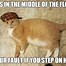 Image result for Hilarious Cat Jokes