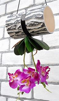 Image result for Hanging Orchid Pots