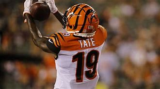 Image result for Bengals WR Tate