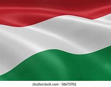Image result for Hungarian Flag Cold War