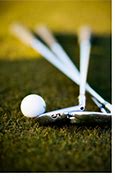 Image result for 60 Compression Golf Balls