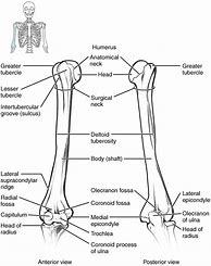 Image result for Heim Joint 19Mm