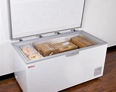 Image result for Commercial Freezer Box for Sale