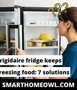 Image result for Frigidaire Commercial Refrigerator Freezing Up