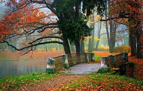 Image result for 4K Ultra HD Autumn Wallpaper