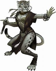 Image result for dungeon and dragon catfolk rangers
