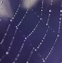 Image result for Spider Web Wallpapers