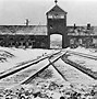 Image result for Surviving Auschwitz