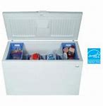 Image result for Freezer for Home