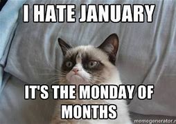 Image result for Funny January Quotes
