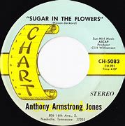 Image result for Antony Armstrong-Jones