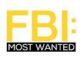 Image result for Female Cast of FBI Most Wanted