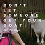Image result for Beautiful Goat Pens