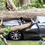 Image result for Hail Damage Car Insurance Claim