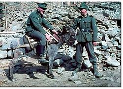 Image result for German Army Bulgaria WW2