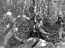 Image result for Vietnam Jungle Warfare