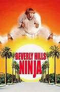 Image result for Kevin Farley Beverly Hills Ninja