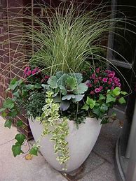 Image result for Large Outdoor Planter Garden Pots