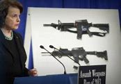 Image result for Feinstein Gun Control Quotes