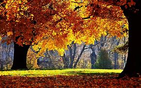 Image result for Free Autumn Desktop