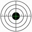 Image result for 22 Cal Silhouette Targets